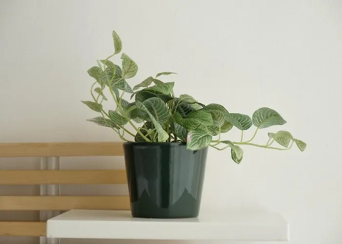 Residenza Il Conte - Pochi Passi Dalla Metropolitana ميلان